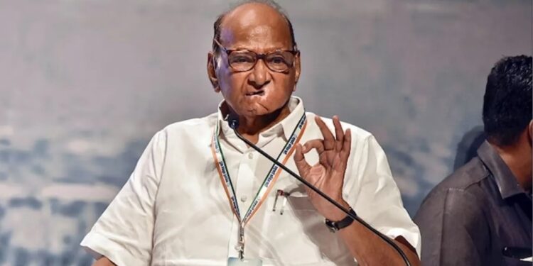 पवारांच्या तुतारीला पिपाणीमुळे फटका, चिन्हाबाबत कोणता निर्णय घेणार?