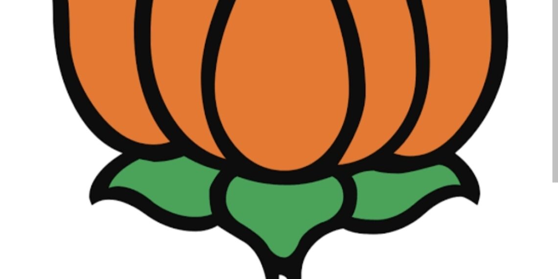 विधानसभेसाठीची भाजपची पहिली यादी जाहीर; ‘या’ नावांवर शिक्कामोर्तब