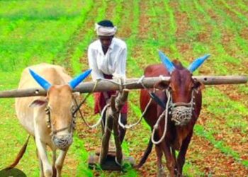 खुशखबर! महाराष्ट्रातील शेतकऱ्यांच्या बँक खात्यात 5 ऑक्टोबरला 4 हजार रुपये येणार