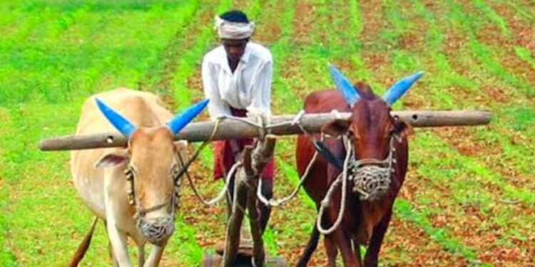 खुशखबर! महाराष्ट्रातील शेतकऱ्यांच्या बँक खात्यात 5 ऑक्टोबरला 4 हजार रुपये येणार