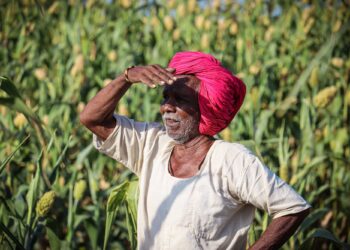 किसान योजनेचा 18 वा हप्ता मिळाला नाही? मग येथे करा थेट तक्रार