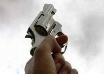 बीडच्या जिल्ह्याधिकाऱ्यांनी फेटाळले शस्त्रपरवाने