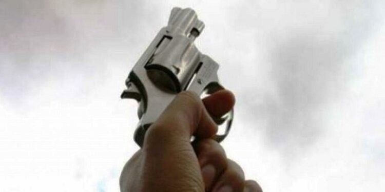 बीडच्या जिल्ह्याधिकाऱ्यांनी फेटाळले शस्त्रपरवाने